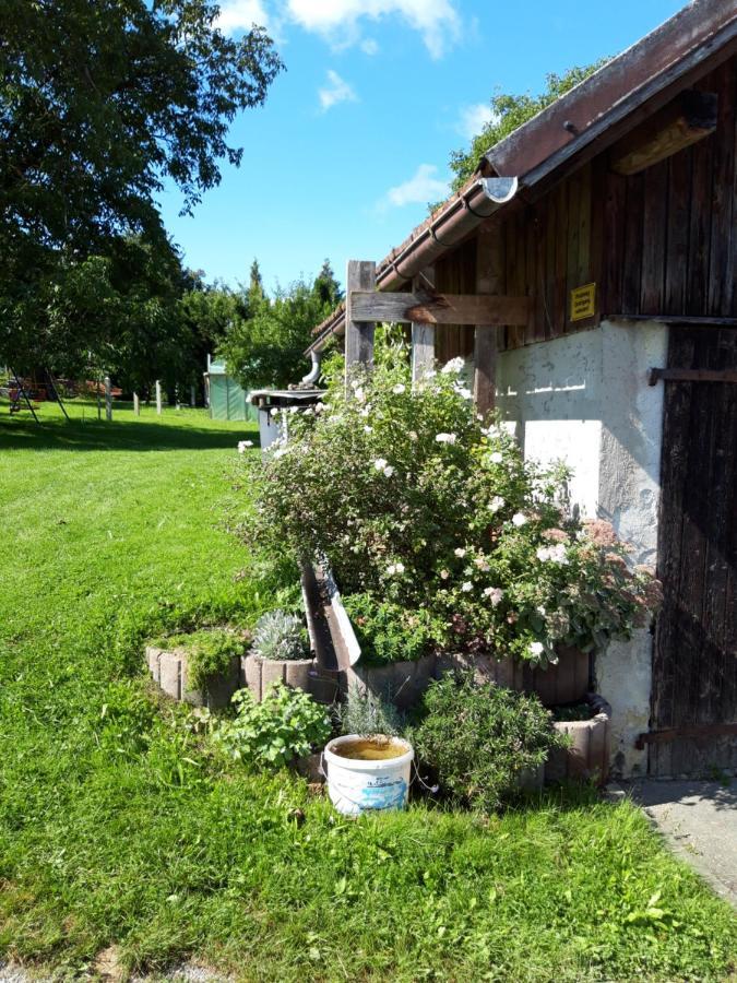 Ferienwohnung Im Seidlerhof Mit Balkon Und Garten Рёрнбах Экстерьер фото