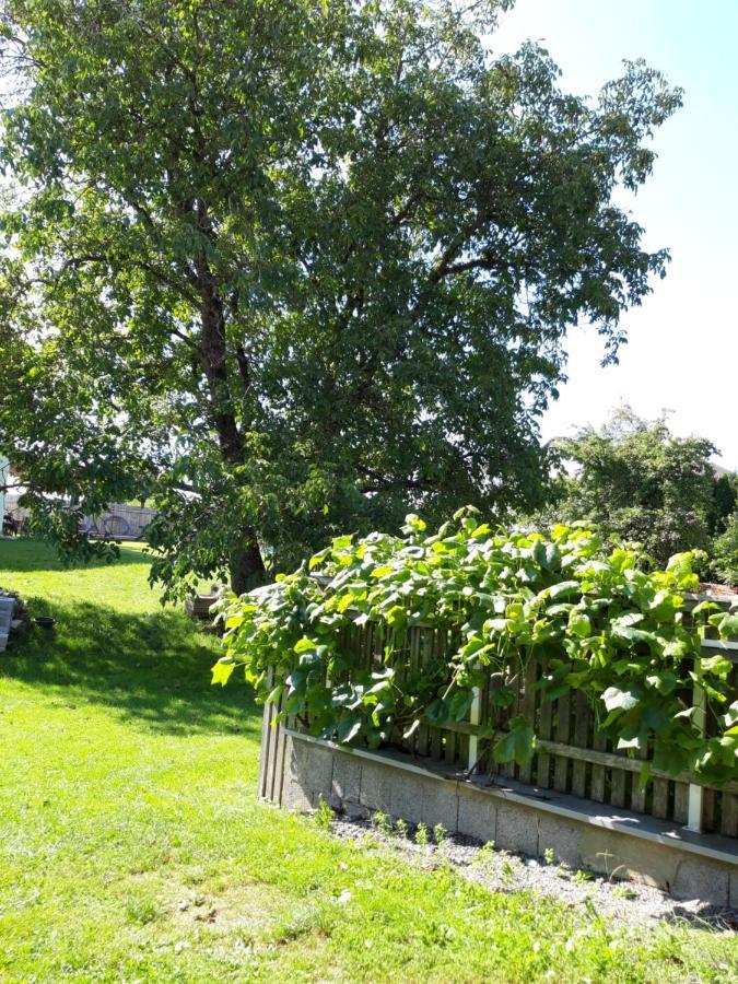 Ferienwohnung Im Seidlerhof Mit Balkon Und Garten Рёрнбах Экстерьер фото